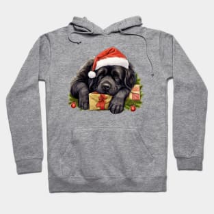 Lazy Newfoundland Dog at Christmas Hoodie